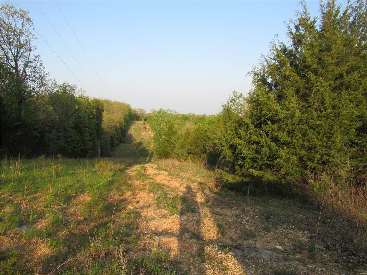 0 Hwy 19 - Photo 1