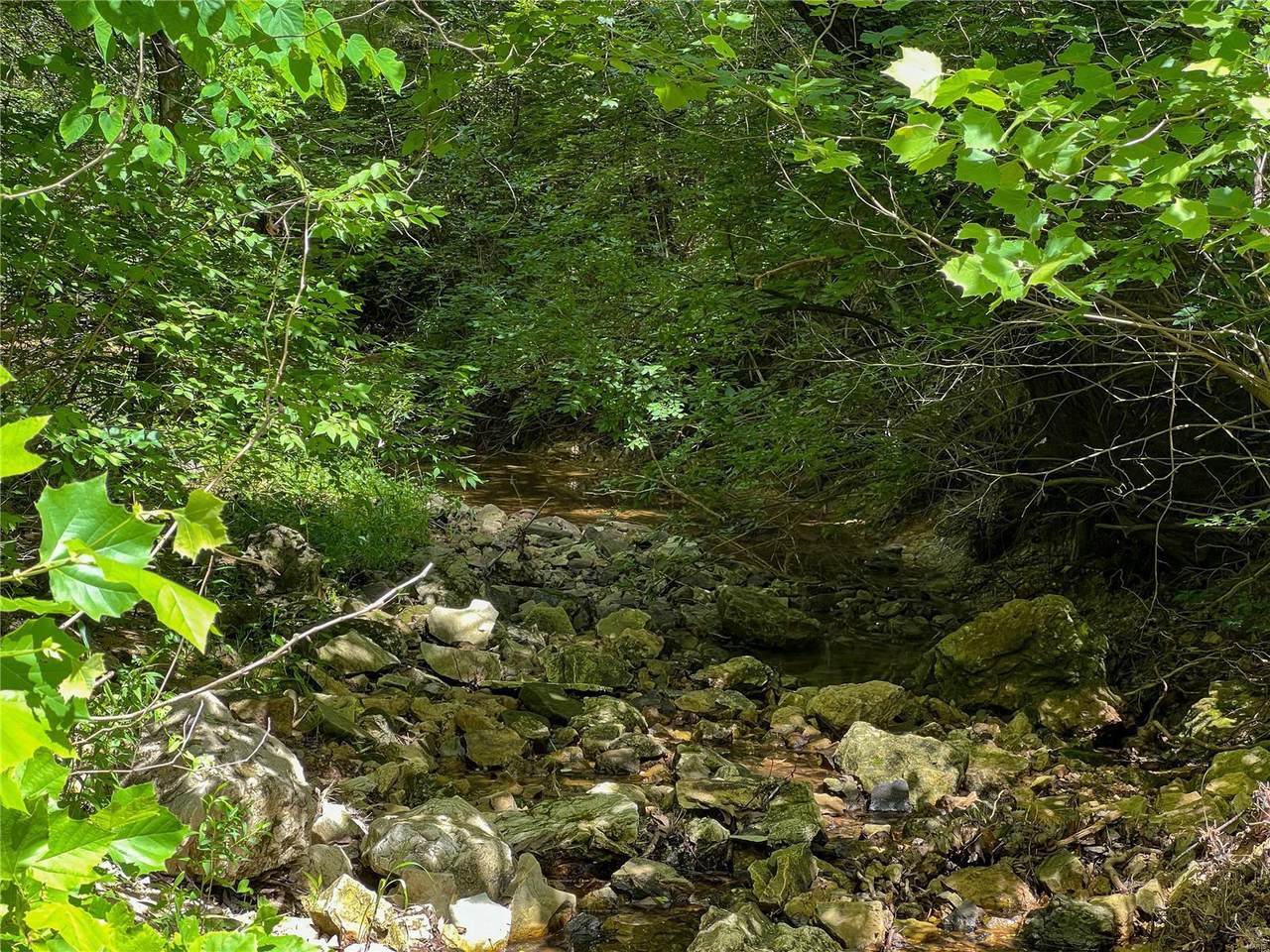 0 Lot 8 Hwy Ad - Photo 1