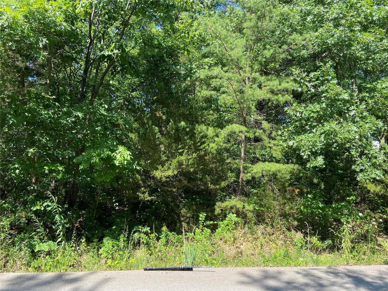 8842 Jubilee Lane - Photo 1