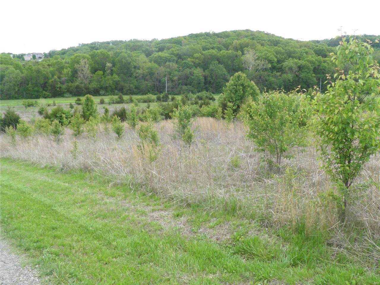 0 Lot 12 Of Dry Fork Meadows - Photo 1
