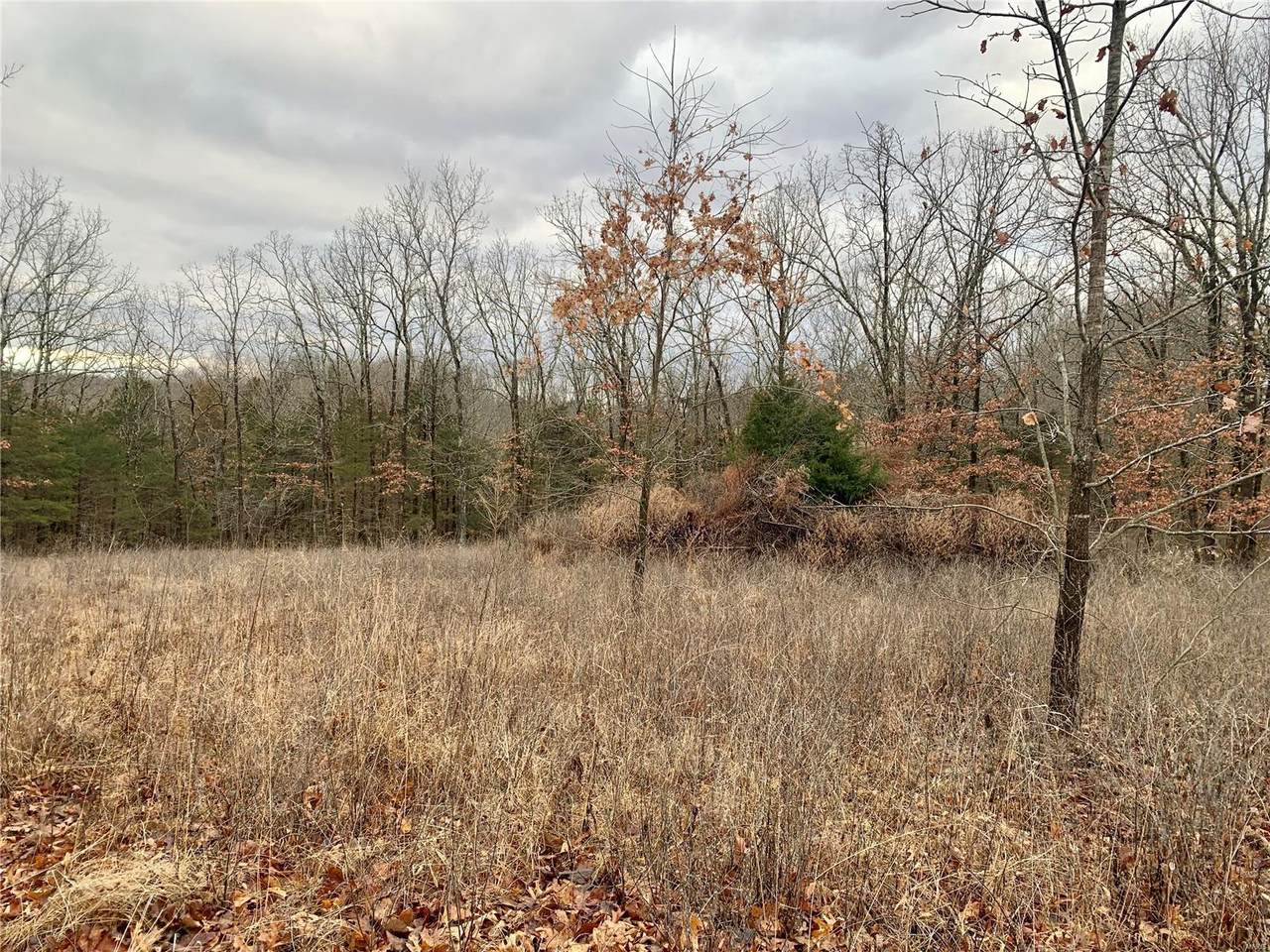 2812 Annes Trail - Photo 1