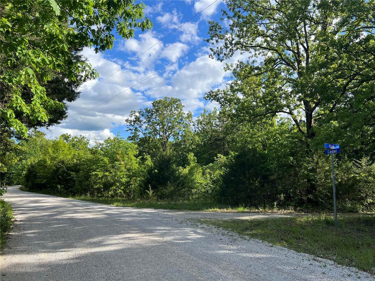 12 Acre Lot - Photo 1