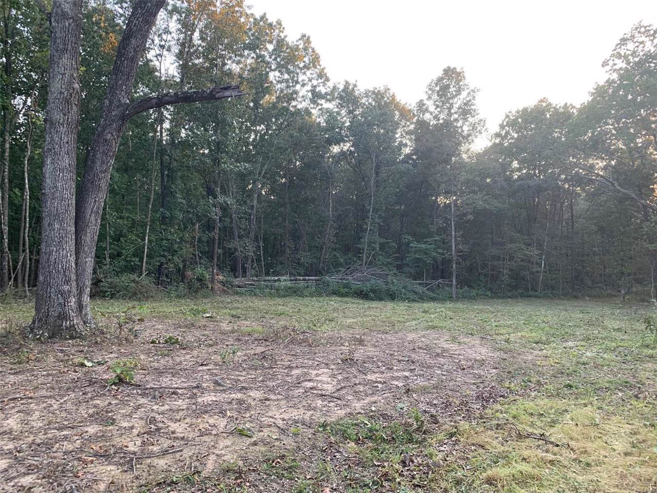 110 Hwy N - Photo 1