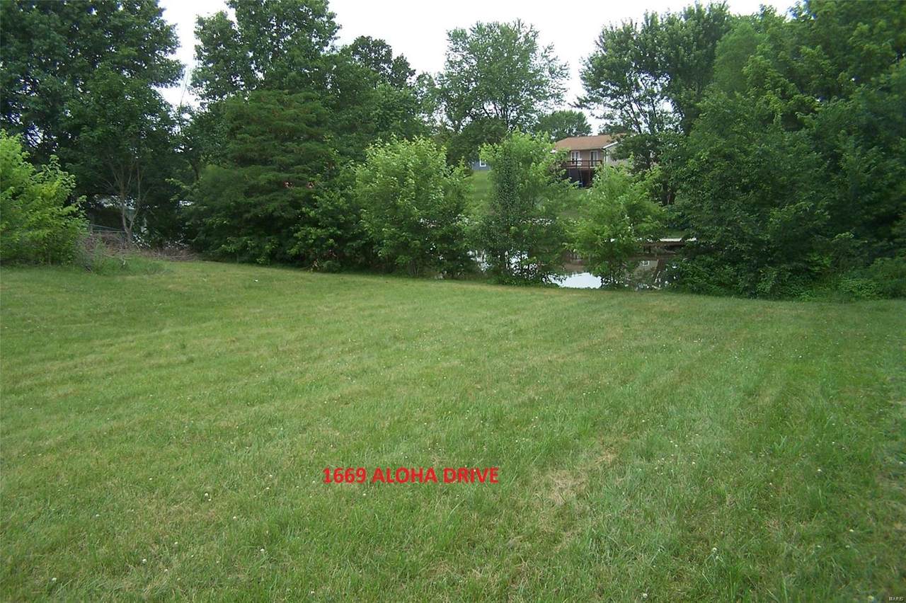1669 Aloha Drive - Photo 1
