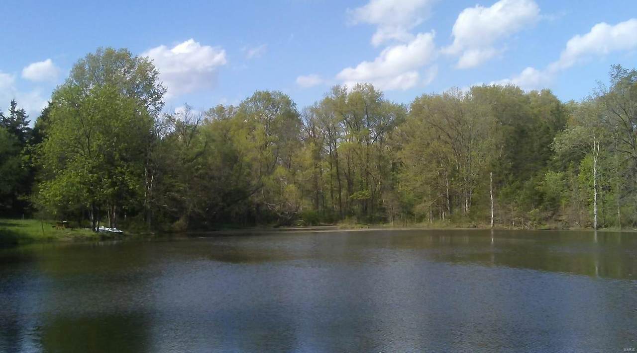 432 Tree Farm - Photo 1