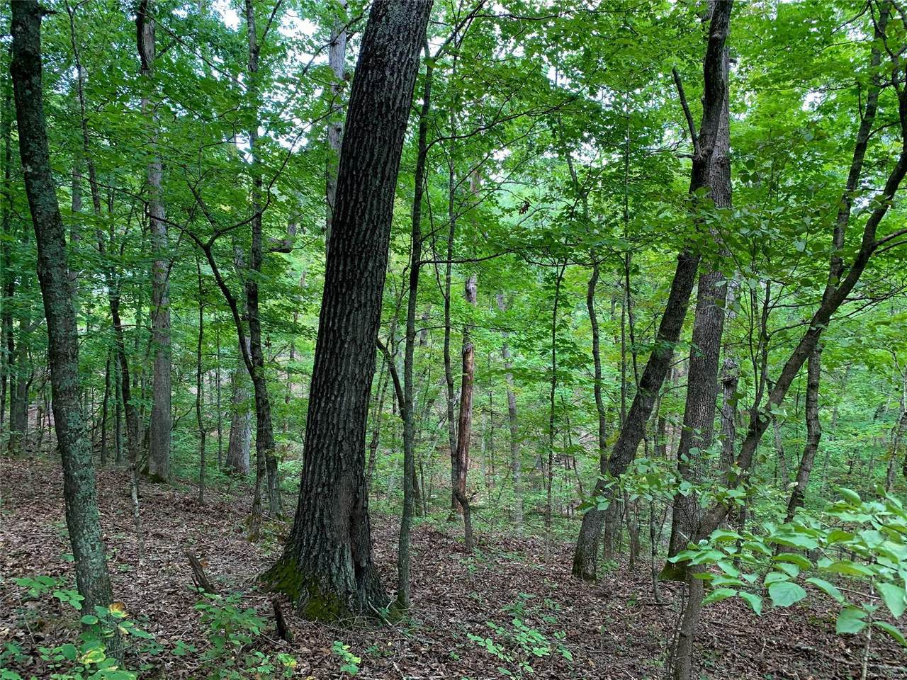 0 Skyline Drive - Photo 1