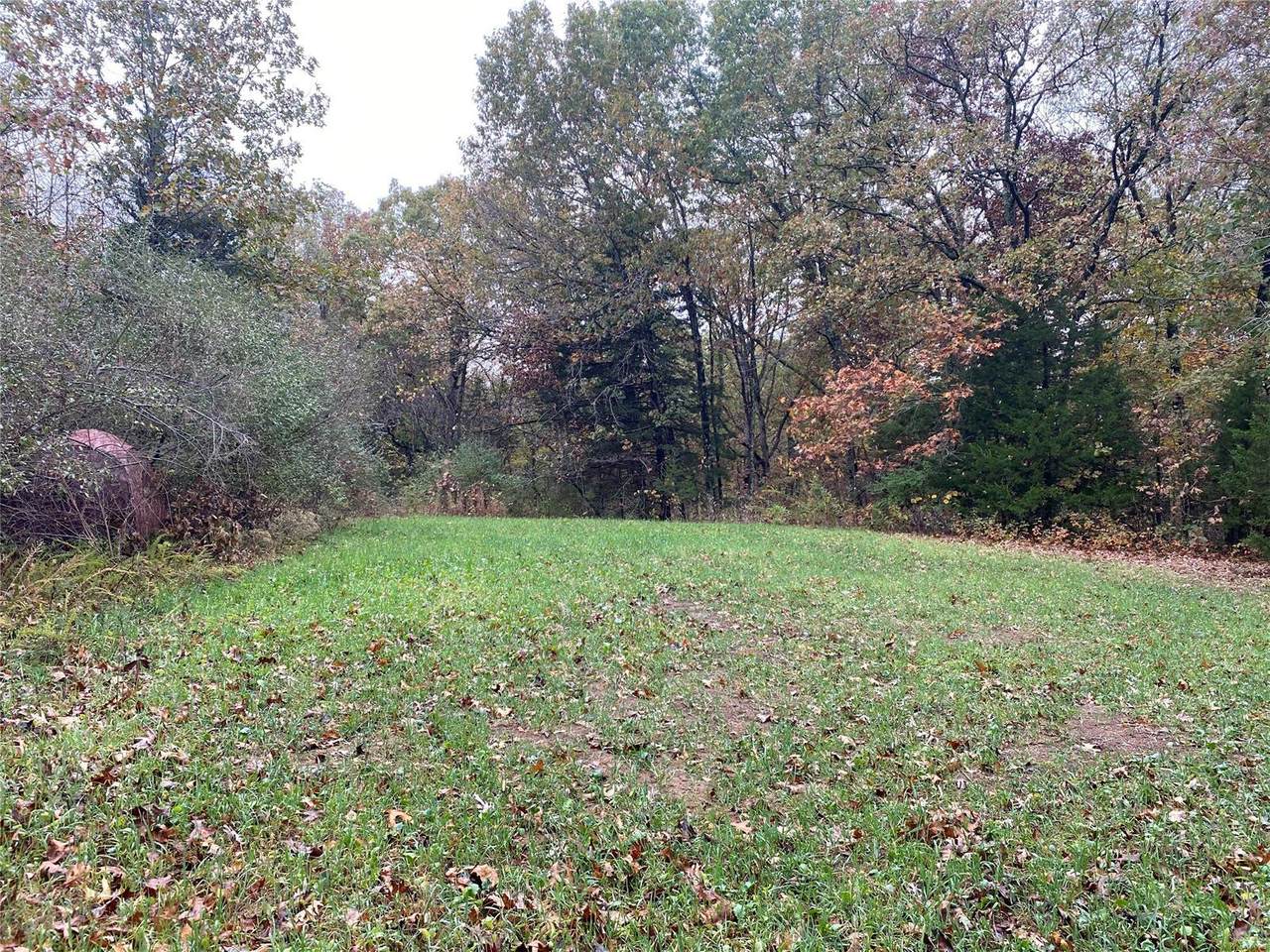 259 State Hwy Ee - Photo 1