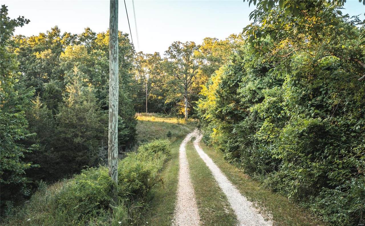40 Red Fox Run Ln Lane - Photo 1
