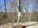9 Old Logging Road - Photo 3