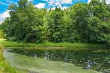 10 Day Spring - Photo 15