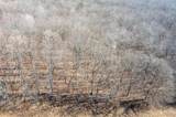 0 Tract #2 Bcr 702 - Photo 12