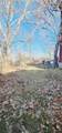 2129 Gano Avenue - Photo 8