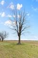 18465 County Road 405 - Photo 97