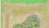 0 Mitchell Creek Road - Photo 19