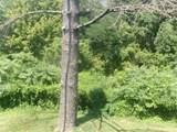 9761 Holy Cross Road - Photo 10