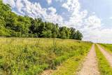 0 Sycamore Trail (Tract #3) - Photo 21