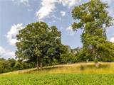0 Sycamore Trail (Tract #3) - Photo 8