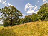 0 Sycamore Trail (Tract #3) - Photo 9