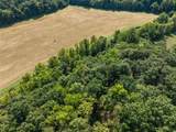 2545 Alpine Woods Drive - Photo 6