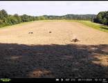 0 383rd Street - Photo 76