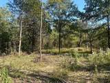 0 Lot #31 Fawn Hollow Court - Photo 2