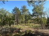 0 Lot #31 Fawn Hollow Court - Photo 3