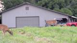 2367 Degerlia Hollow - Photo 81