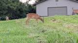 2367 Degerlia Hollow - Photo 83
