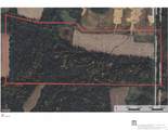 0 County Road 1250 E - Photo 2