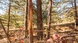 9022 County Road 469 - Photo 53
