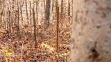 9022 County Road 469 - Photo 56