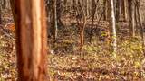 9022 County Road 469 - Photo 66