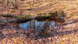 9022 County Road 469 - Photo 82