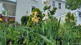 403 Main Street - Photo 54