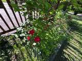 152 Burchwood Drive - Photo 29