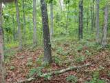 TBD Hickory Road - Photo 4