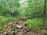 TBD Hickory Road - Photo 6