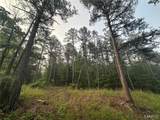 1394 (Parcel C) County Road 6580 - Photo 8