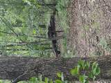000 Berry Road - Photo 5