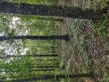 000 Berry Road - Photo 6