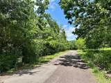 TBD Bluebird Lane - Photo 4