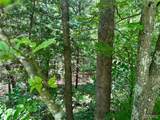 TBD Bluebird Lane - Photo 6