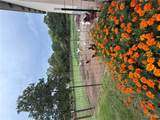 14585 Highway Aw - Photo 43