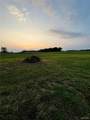 4243 Bushy Prairie Road - Photo 10