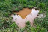 0 S Mine La Motte Ave - Photo 30