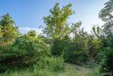 0 S Mine La Motte Ave - Photo 31