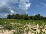 36 County Road 629 - Photo 4