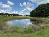 17351 Highway Nn - Photo 15