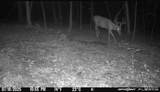 986 Franklin Hill Rd - Photo 53