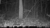 986 Franklin Hill Rd - Photo 54